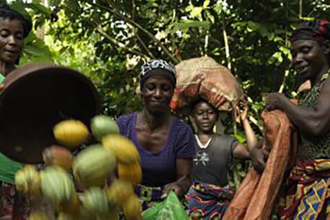 Fairtrade products still sought by customers despite cost of living crisis