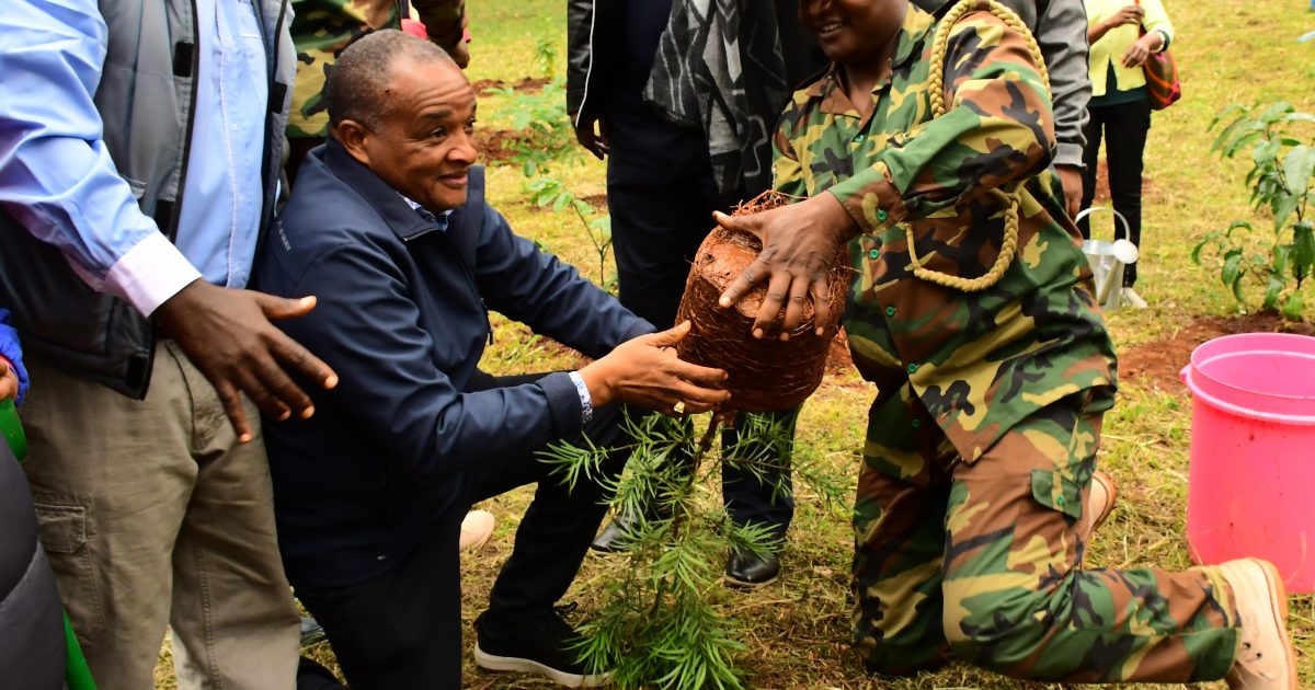 Cooperatives Urged To Plant Trees To Sustain Raw Material For Key Value Chains