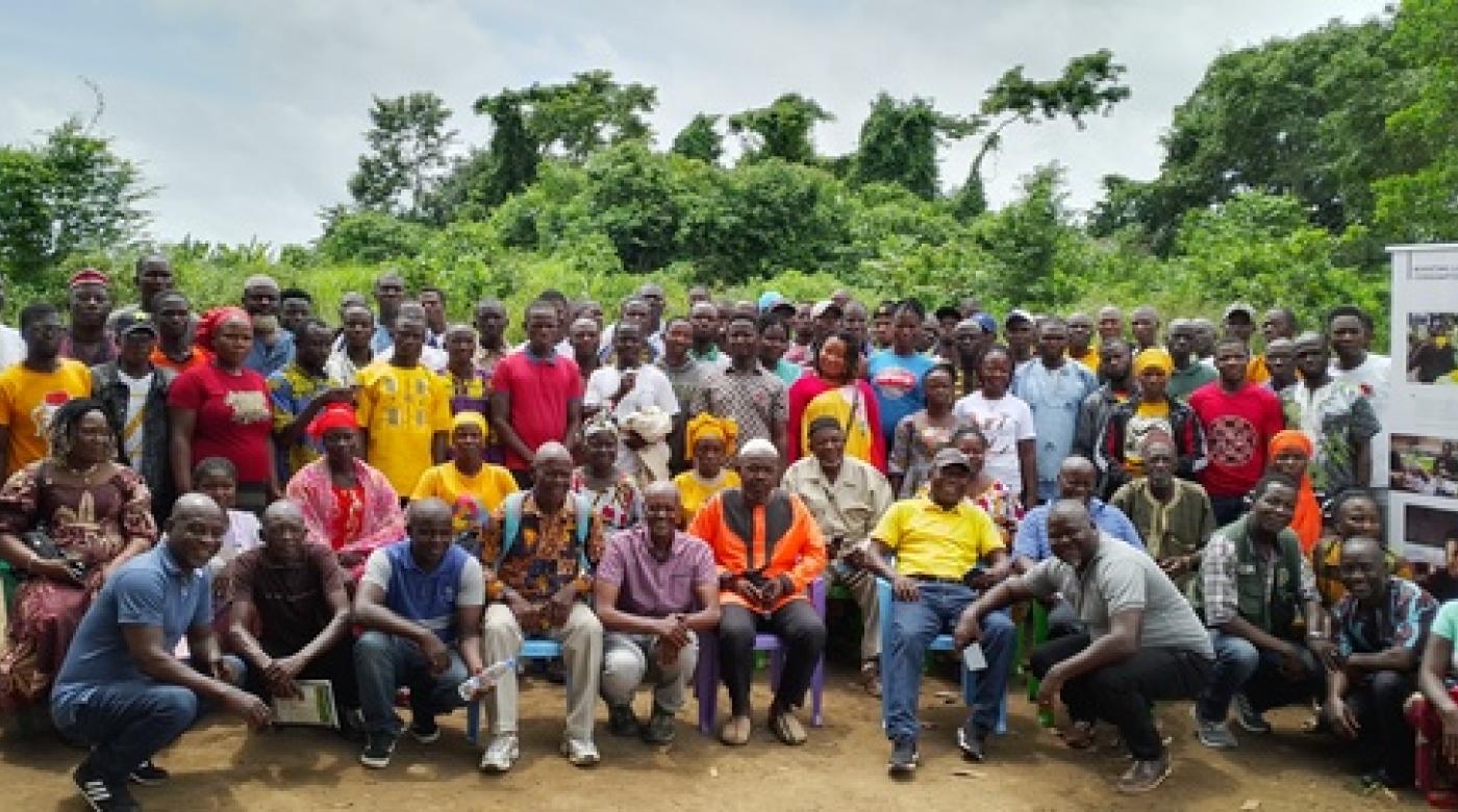 Coffee Farmers in Liberia Think about Revitalizing Cooperatives to Improve Income