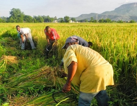 Farmers Cooperative Union Canvass For Inclusiveness In Agriculture Subsidy