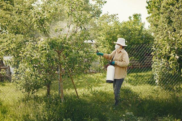 Effective Strategies to Protect Your Backyard Farm: A Comprehensive Guide to Pest Control