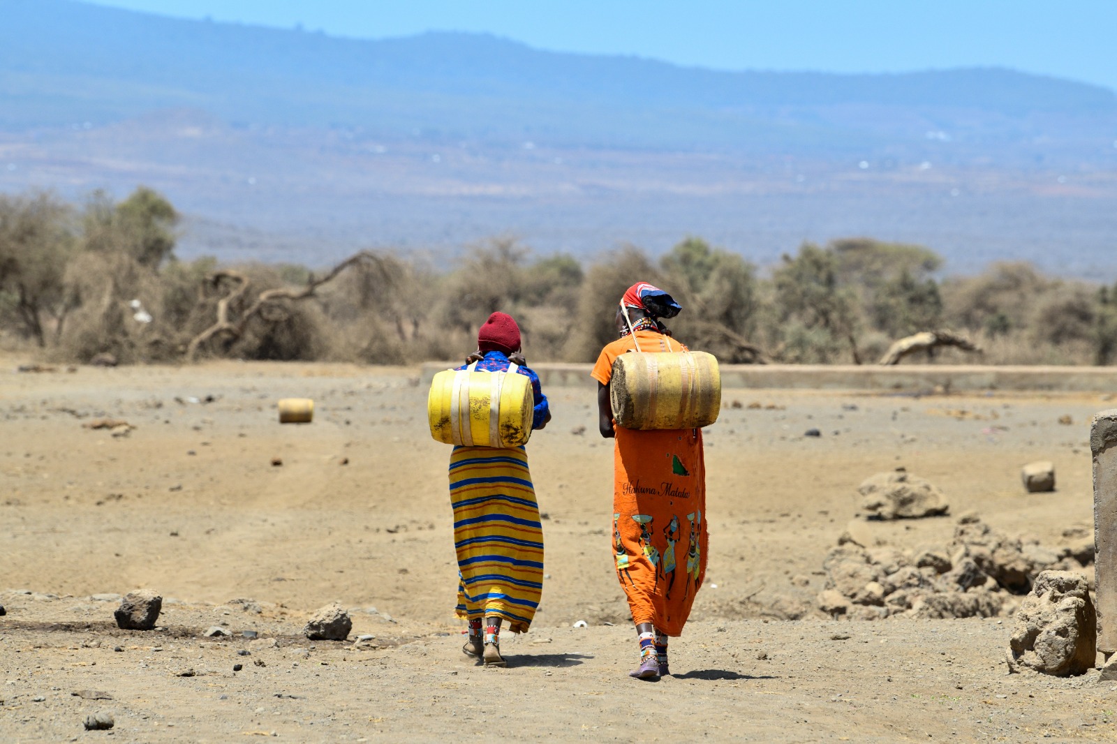 Women Turn to Multipurpose Cooperatives for Financial Freedom