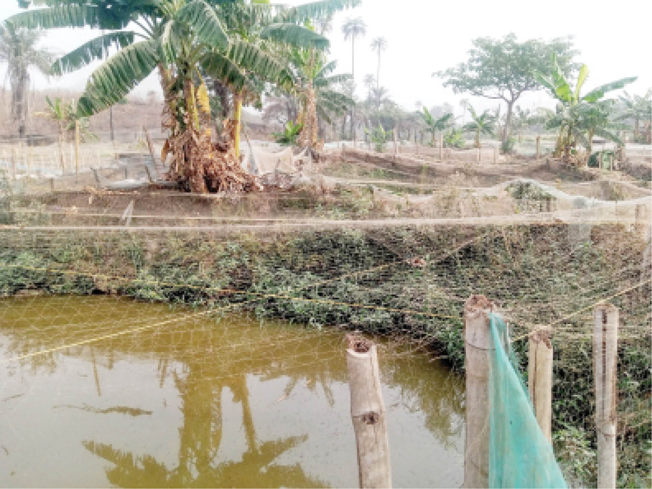 Fish Farmers Launch Fishery Cooperative to Boost Fish Production and Ensure Food Security in Oyo State