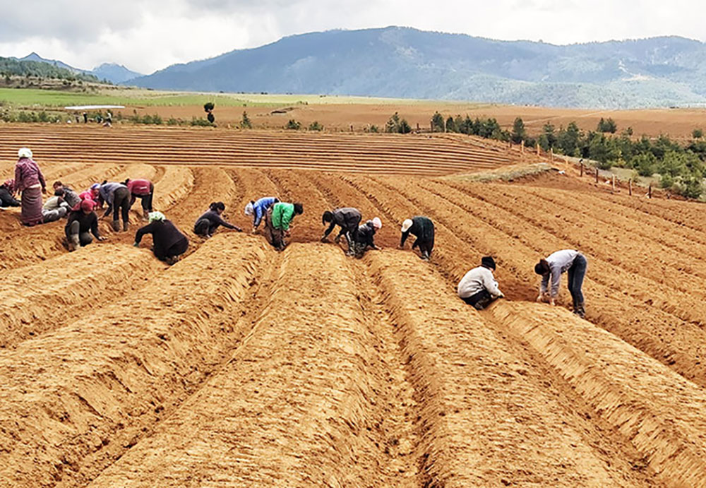 Government will Support Youth Cooperatives in Agriculture