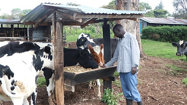 Digital Systems Revive Dismally Performing Dairy Cooperatives