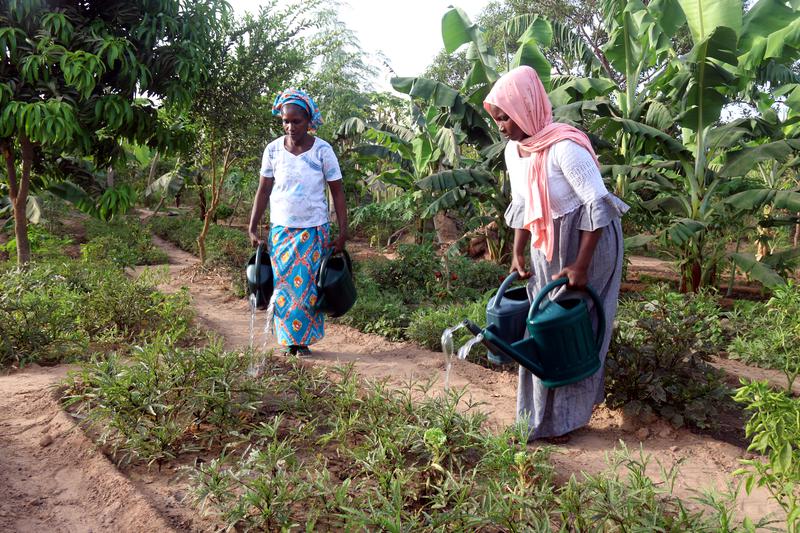 Promoting Access to Land and Gender Equality through Women’s Cooperatives in Senegal