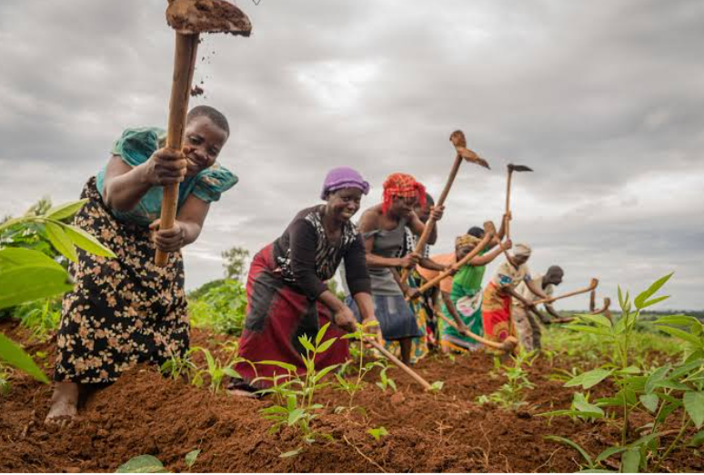 Foundation Empowers Women-In-Cooperatives at Anambra State, Nigeria