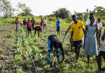 Agricultural Productivity & Food Security: NIRSAL Trains Over 2,000 Farmers in States