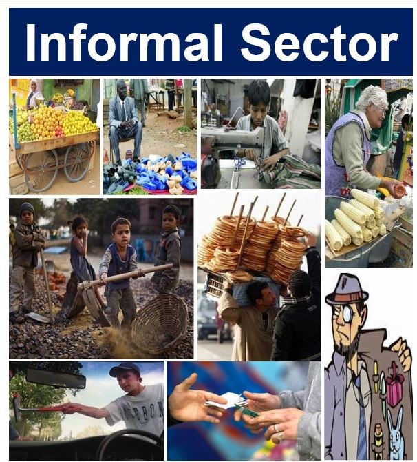 Discover the Crucial Role of Cooperatives in Bringing the Informal Economy into the Formal Sector